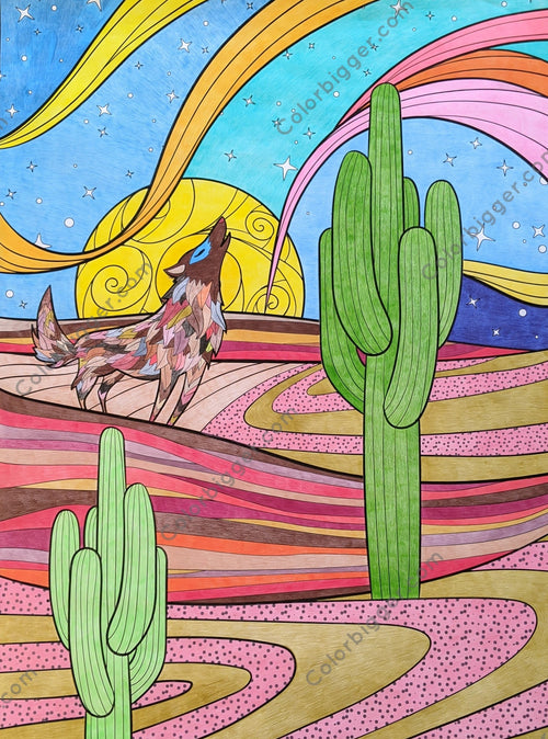 Desert Coloring Poster — photo 4