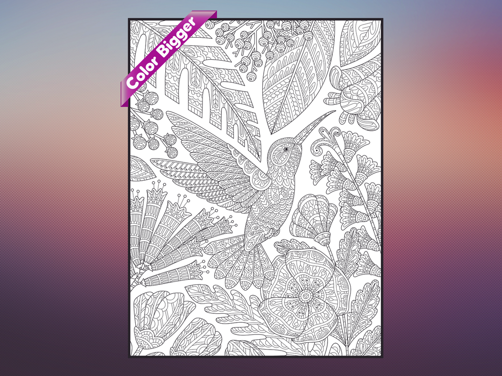 Hummingbird Coloring Poster — giant coloring poster line art