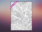 Hummingbird Coloring Poster — giant coloring poster line art