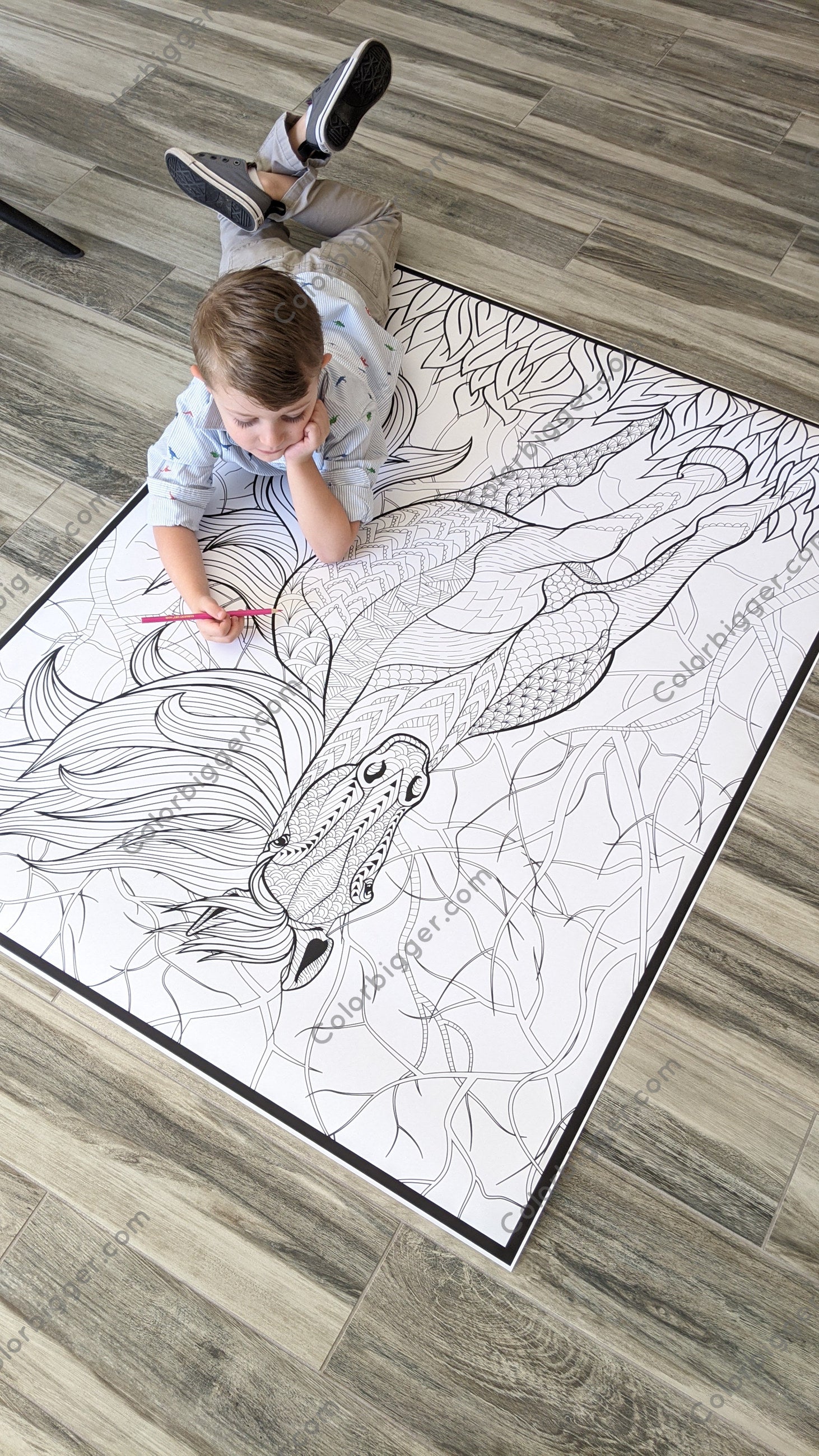 Horse Coloring Poster — photo 5