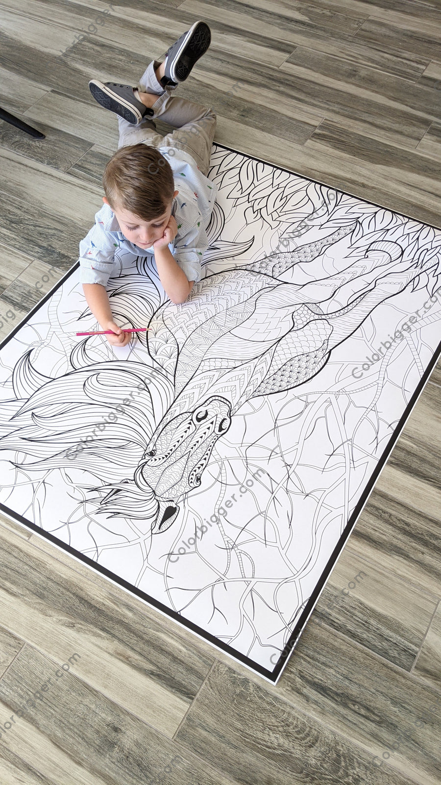 Horse Coloring Poster — photo 5