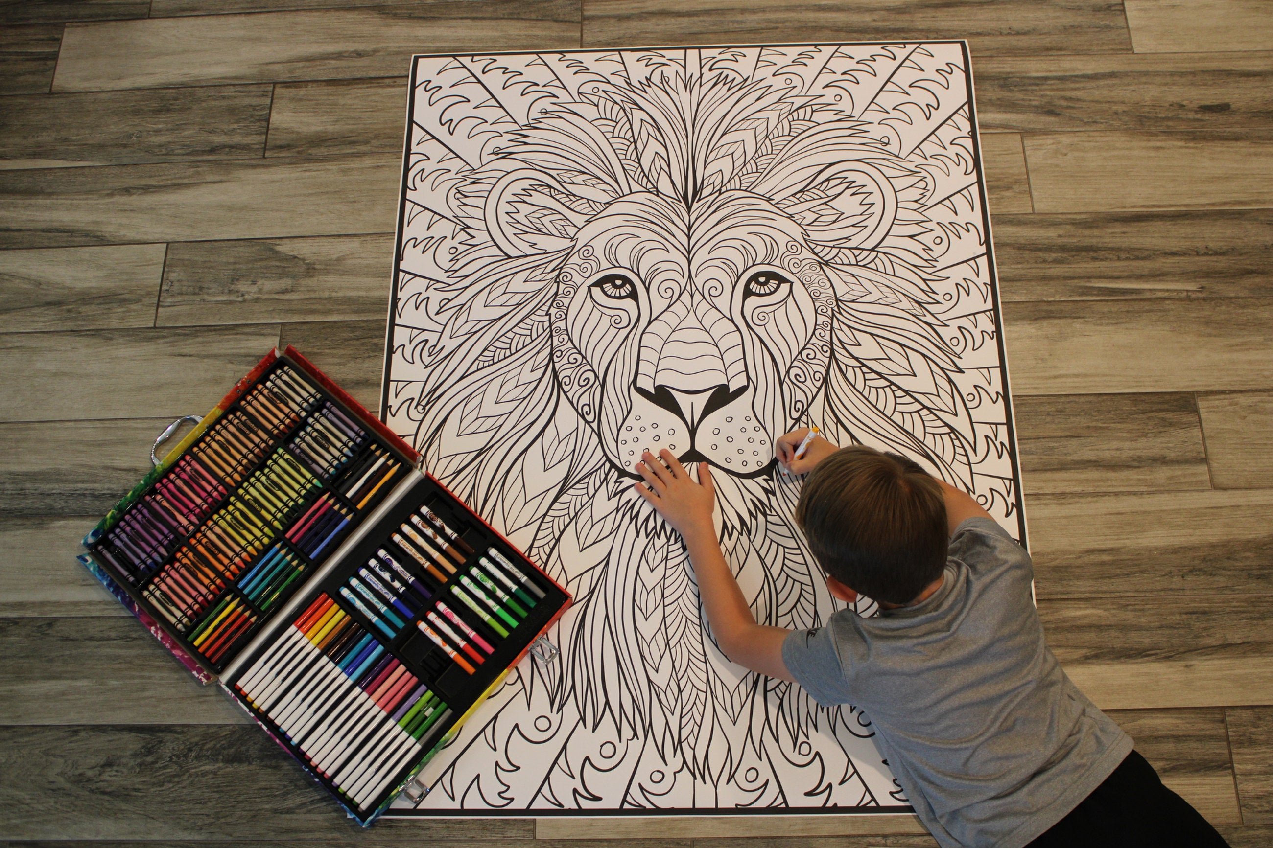 Lion Coloring Poster — photo 3