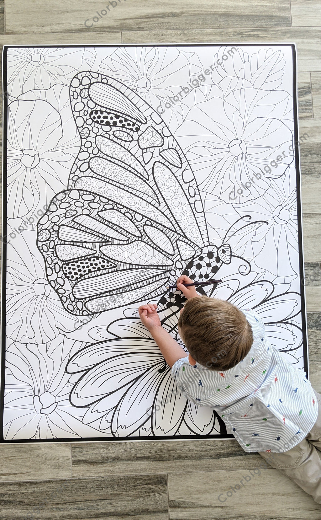 Butterfly Coloring Poster — photo 2