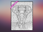 Elephant Coloring Poster — giant coloring poster line art