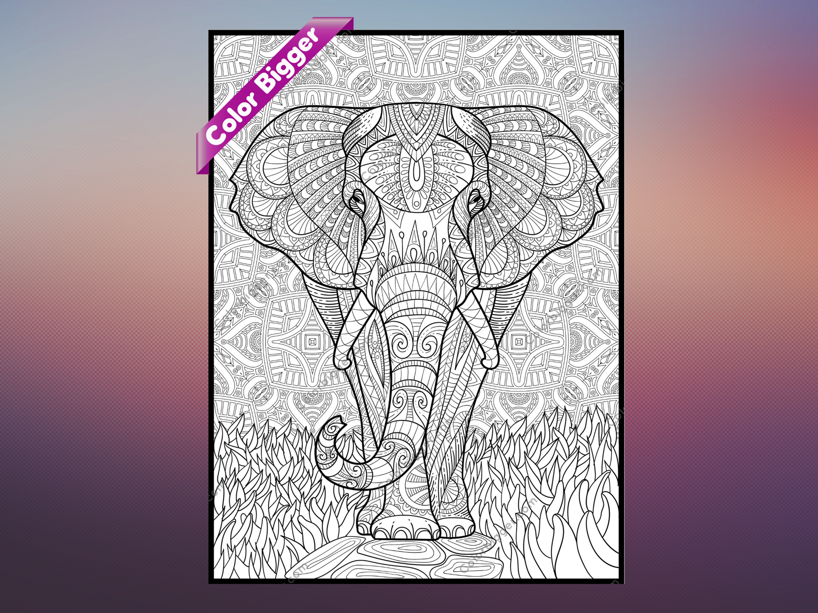 Elephant Coloring Poster — giant coloring poster line art