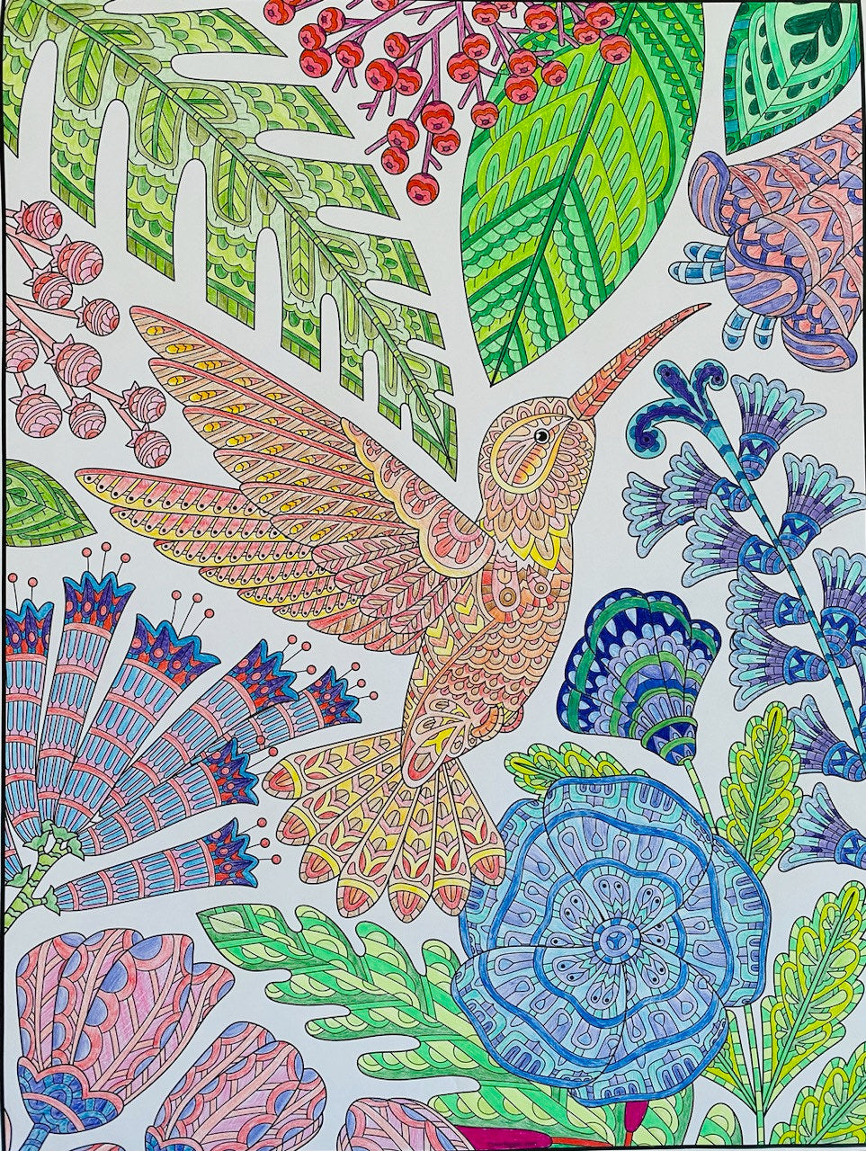 Hummingbird Coloring Poster — photo 4