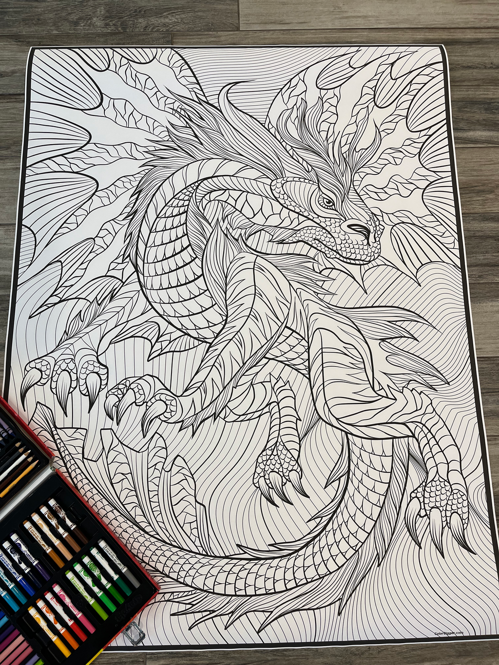 Dragon Coloring Poster — photo 5