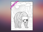 Bear Coloring Poster — giant coloring poster line art