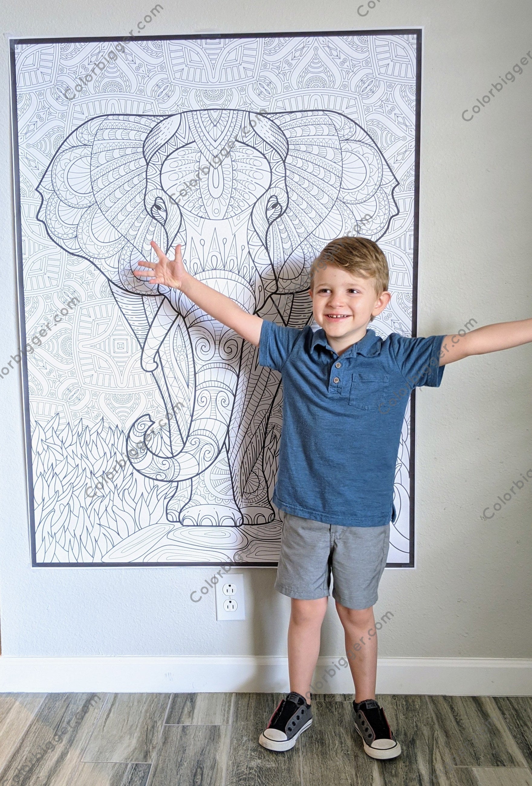Elephant Coloring Poster — photo 2