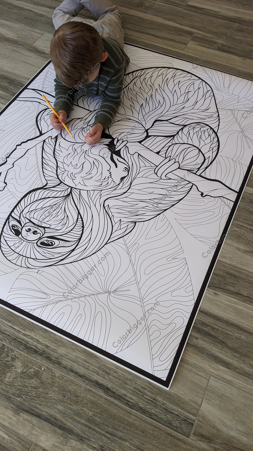 Sloth Coloring Poster — photo 3