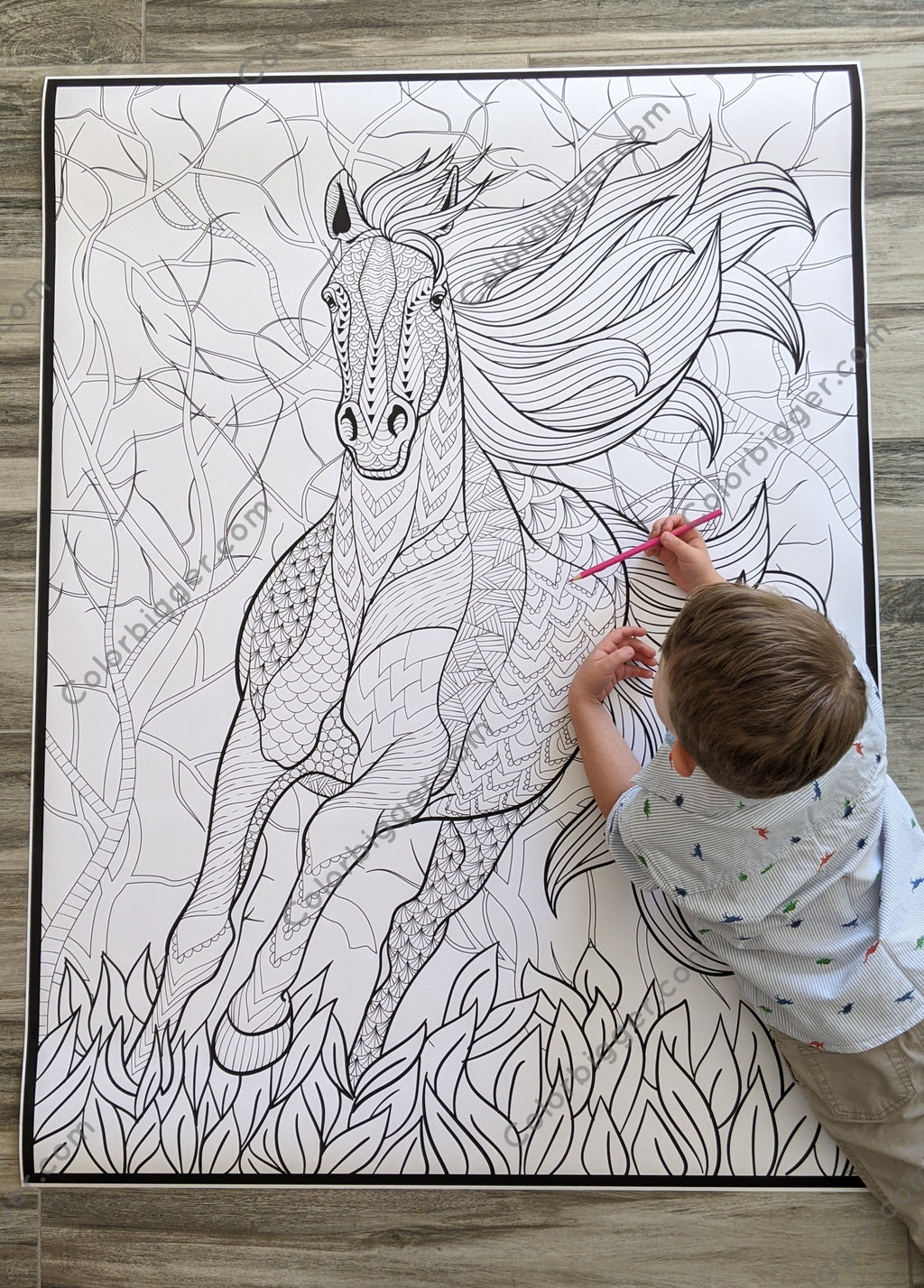 Horse Coloring Poster — photo 4