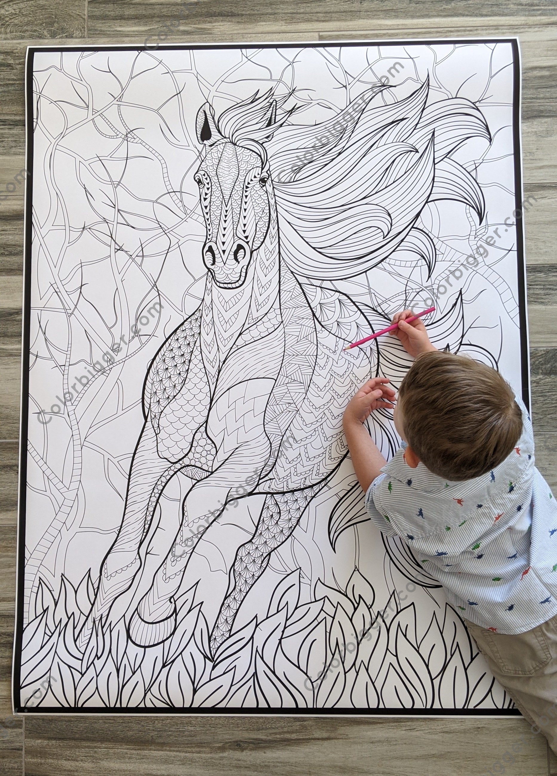 Horse Coloring Poster — photo 4