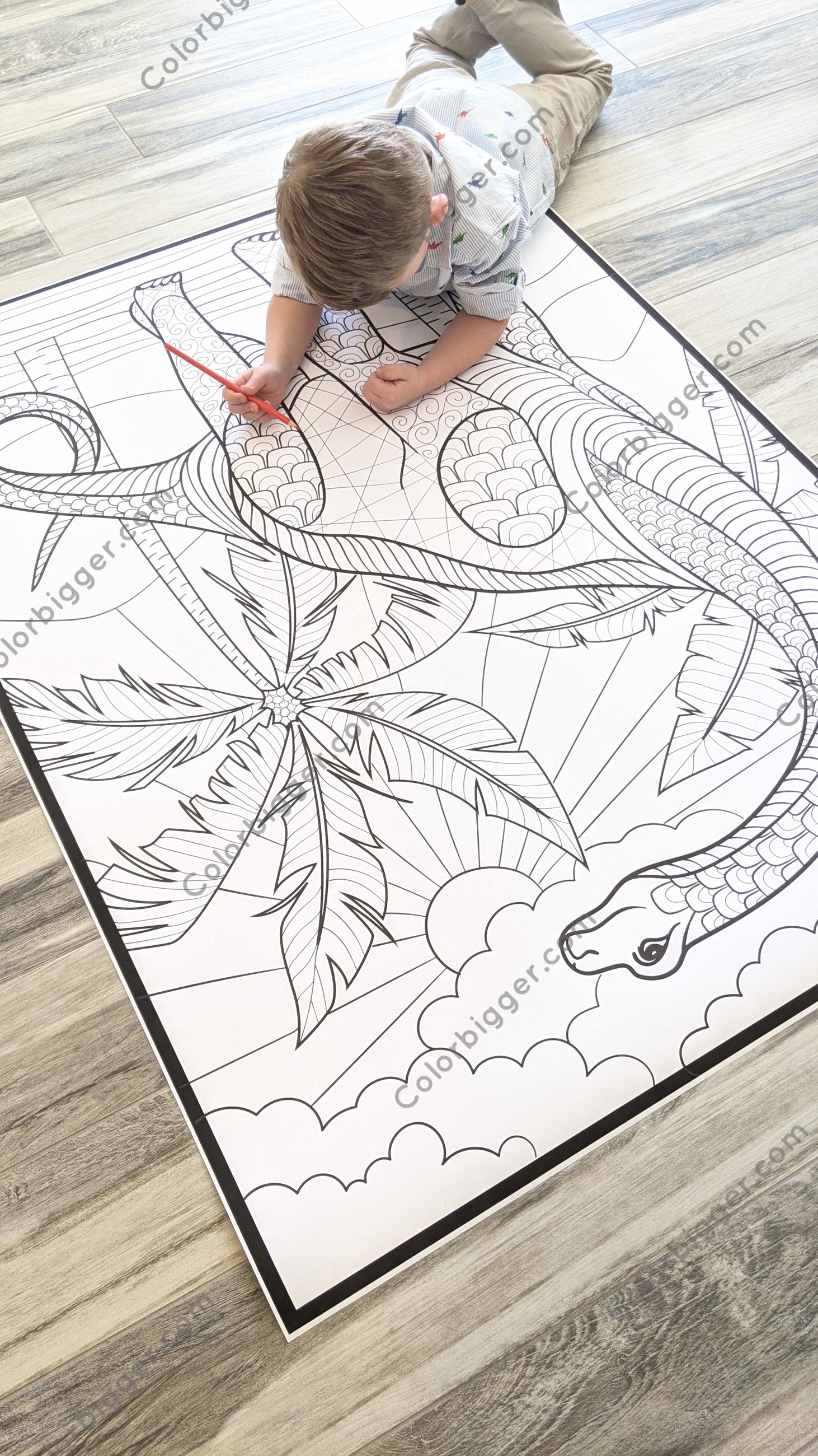 Dinosaur Coloring Poster — photo 3