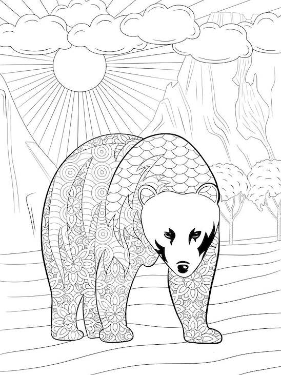 Bear Coloring Poster