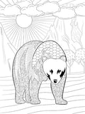 Bear Coloring Poster