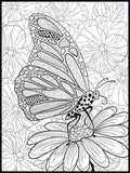 Butterfly Coloring Poster