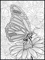 Butterfly Coloring Poster