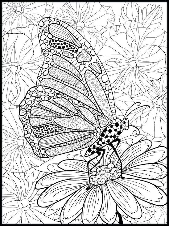 Butterfly Coloring Poster