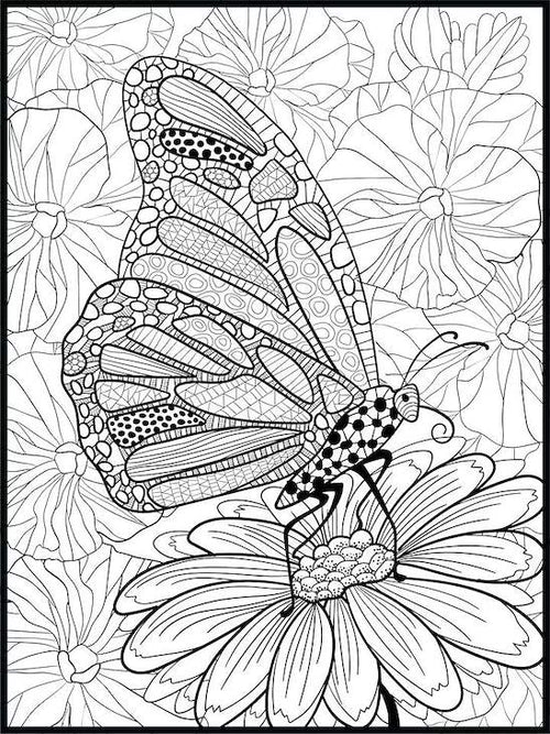 Butterfly Coloring Poster