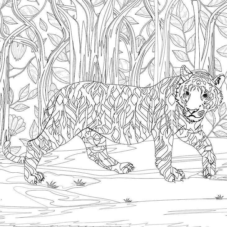 Tiger Coloring Poster