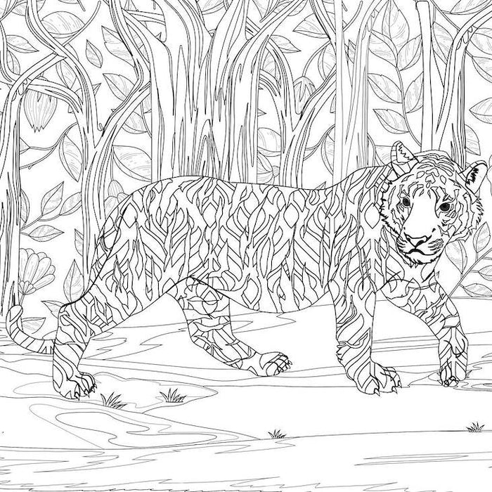 Tiger Coloring Poster