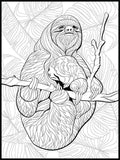 Sloth Coloring Poster