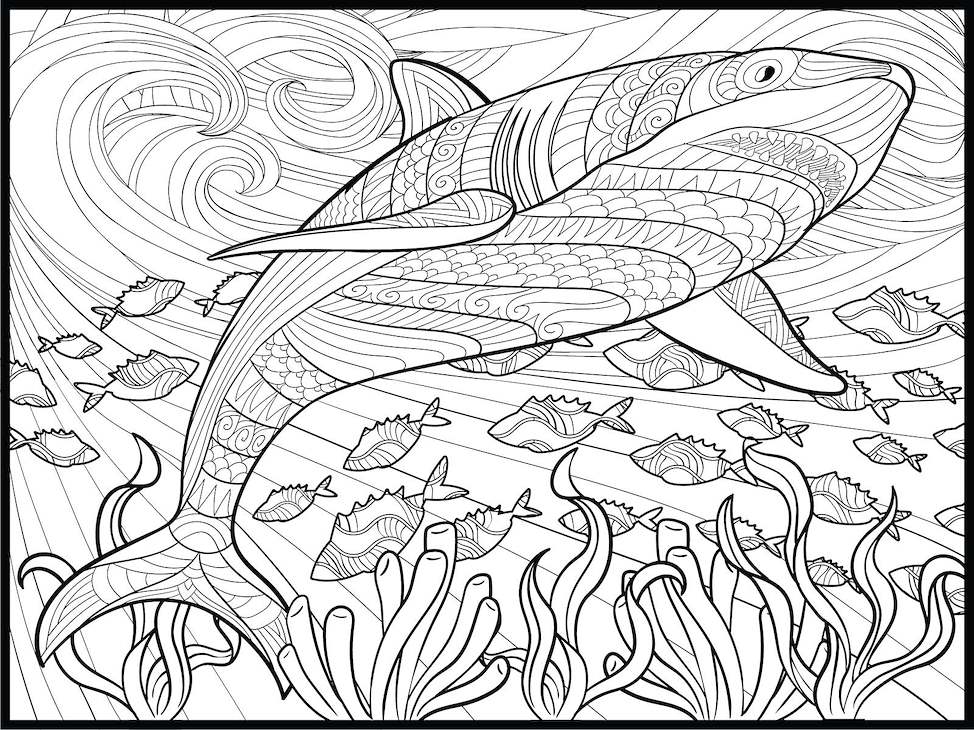 Shark Coloring Poster