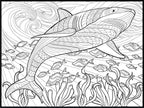 Shark Coloring Poster
