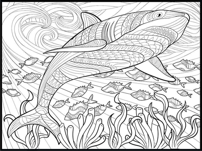 Shark Coloring Poster