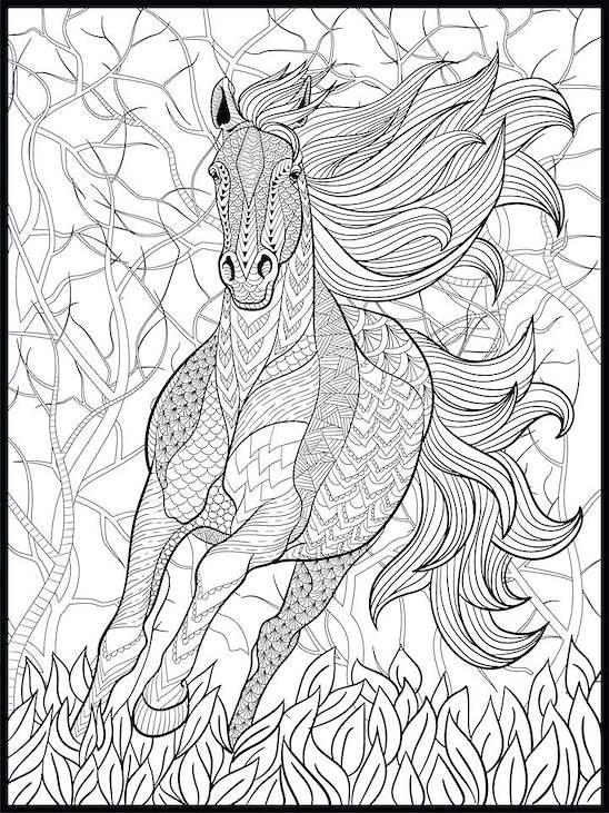 Horse Coloring Poster