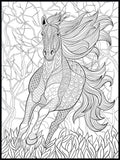 Horse Coloring Poster