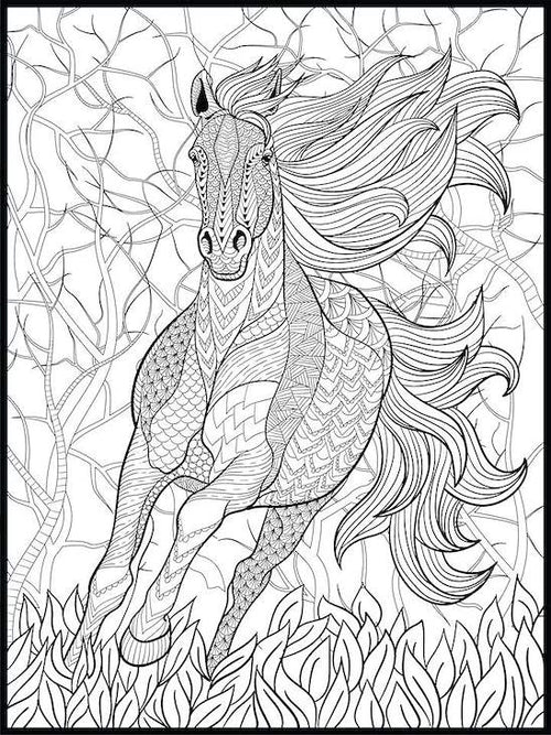 Horse Coloring Poster
