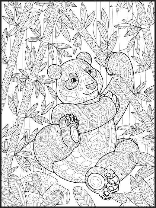 Panda Coloring Poster