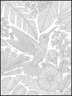 Hummingbird Coloring Poster