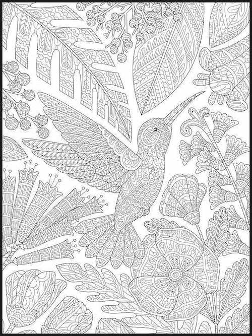 Hummingbird Coloring Poster