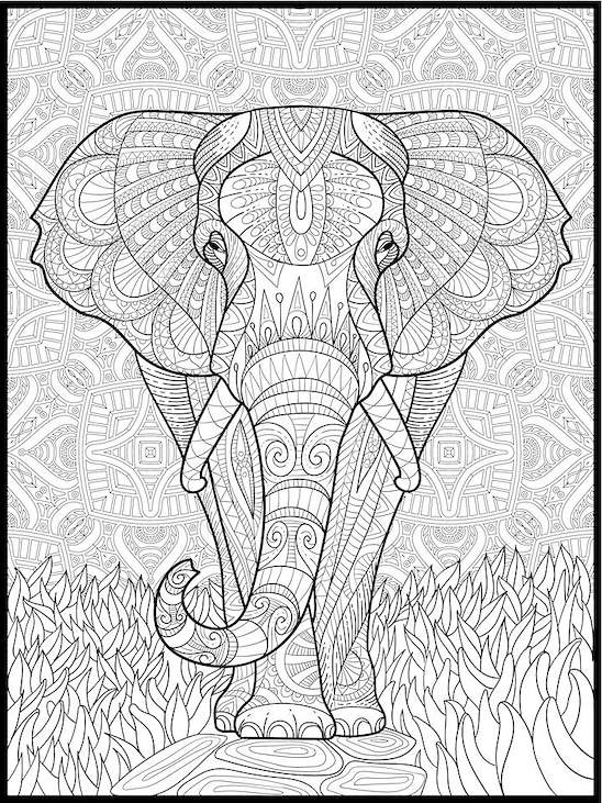 Elephant Coloring Poster