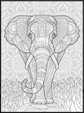 Elephant Coloring Poster