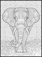Elephant Coloring Poster